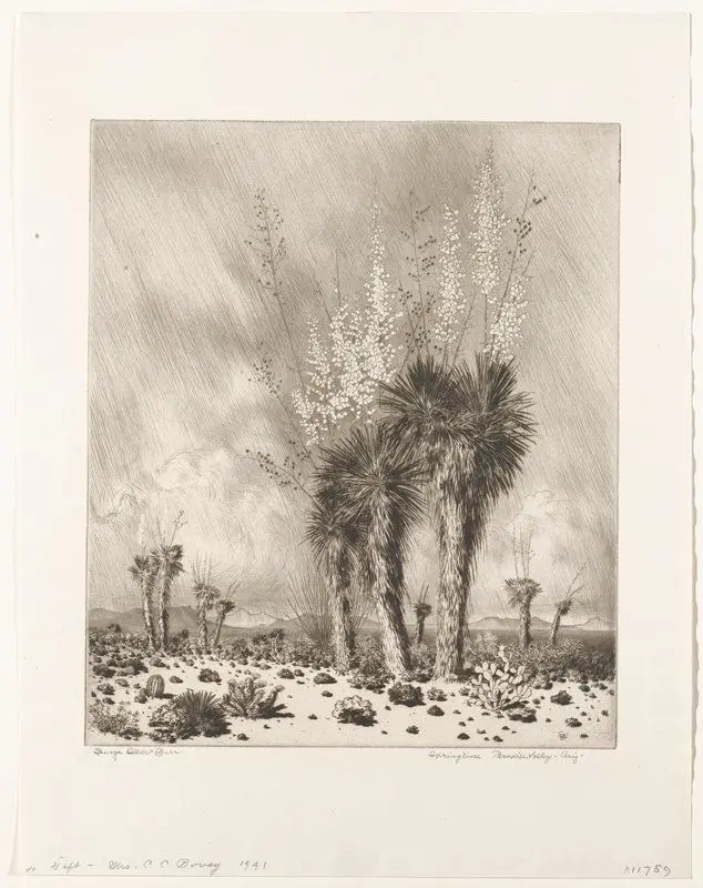 Springtime, Paradise Valley, Arizona by George Elbert Burr