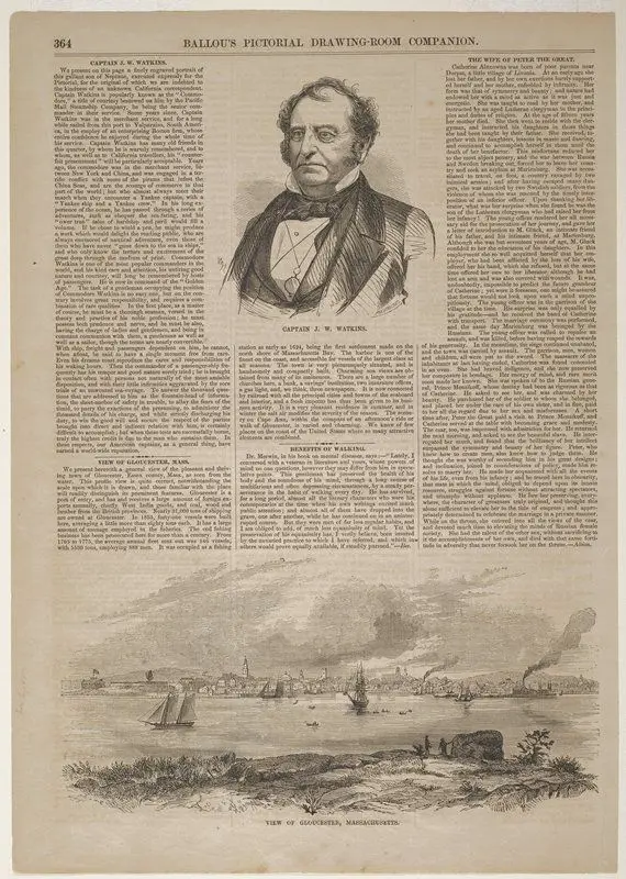 Captain J. W. Watkins by Winslow Homer