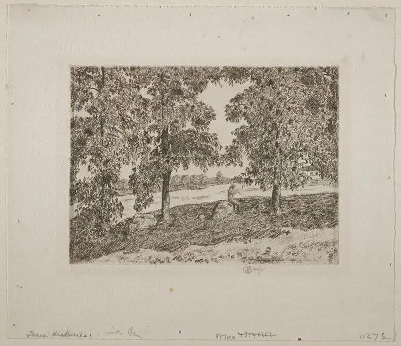 Three Hickories by Childe Hassam