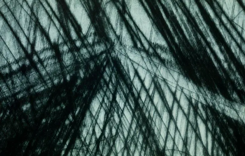 Untitled by Bruce Nauman