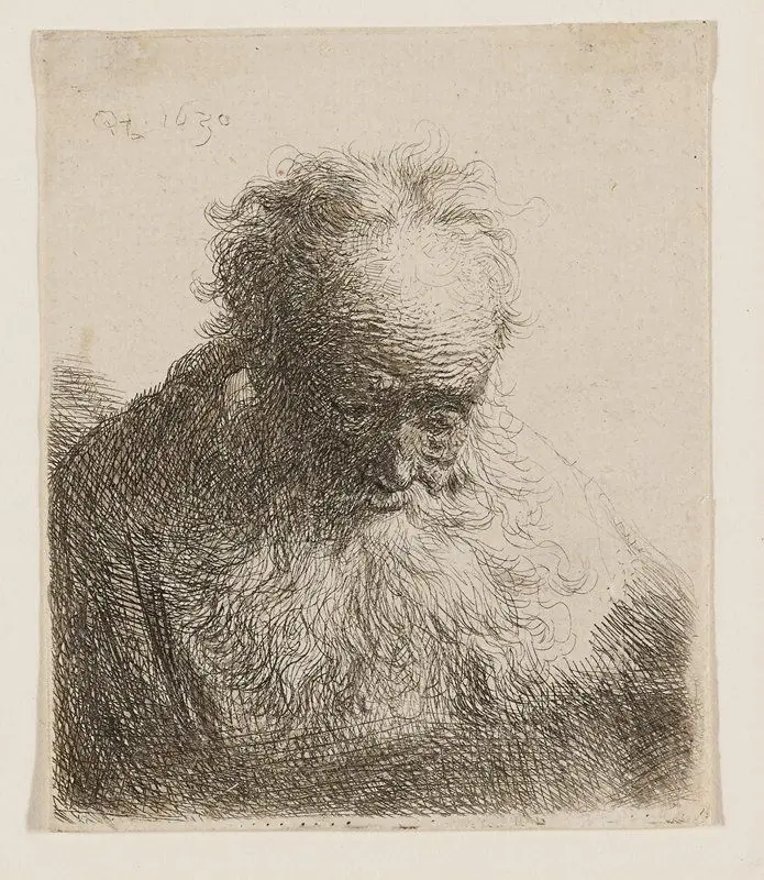 Old Man with Flowing Beard (head bowed forward, left shoulder unshaded) by Rembrandt van Rijn