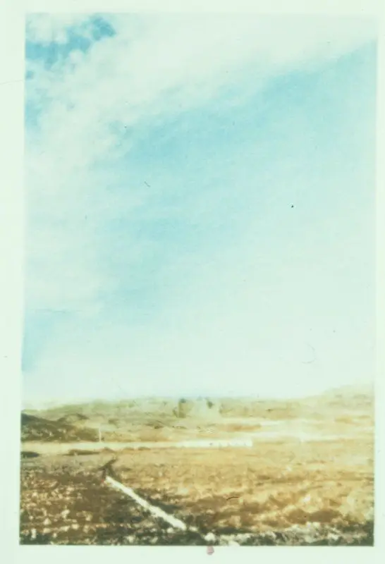 Landscape I by Gerhard Richter