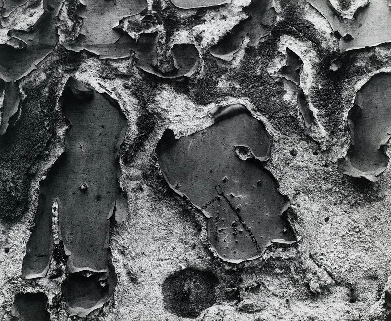 Chicago 2 by Aaron Siskind