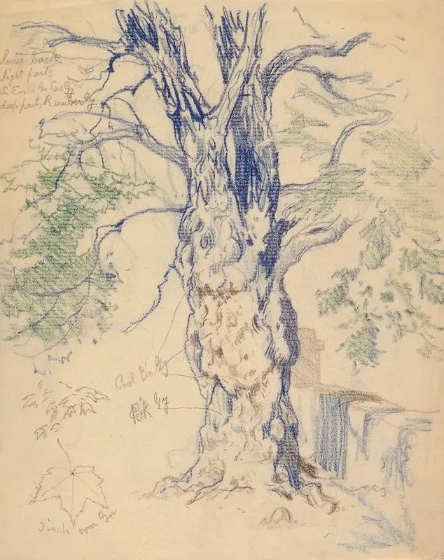 Study of a Tree by Edward Henry Potthast
