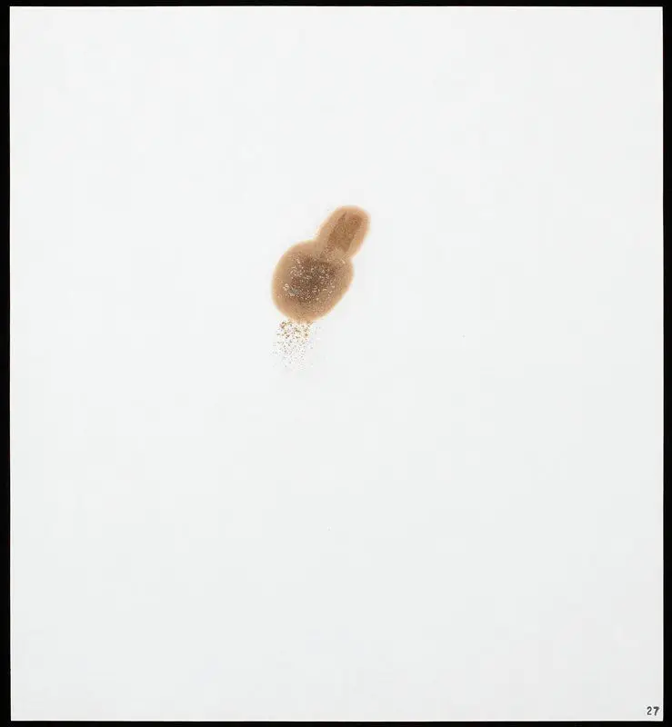 Sulfuric Acid (Mallinckrodt), from Stains by Edward Ruscha