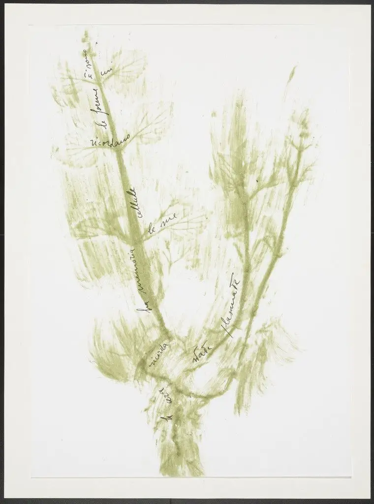 Untitled from Thirty-Three Herbs (Trentatre Erbe) by Giuseppe Penone