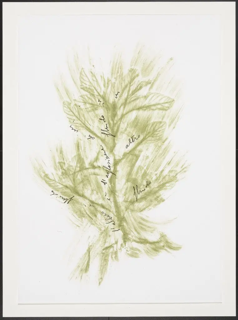 Untitled from Thirty-Three Herbs (Trentatre Erbe) by Giuseppe Penone