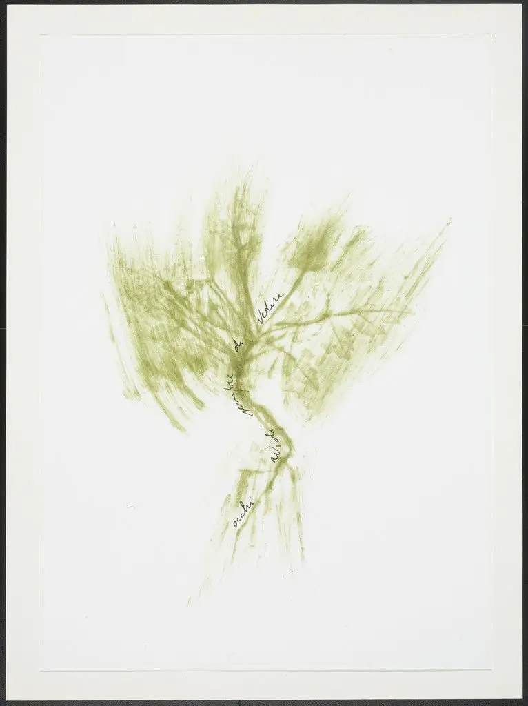 Untitled from Thirty-Three Herbs (Trentatre Erbe) by Giuseppe Penone