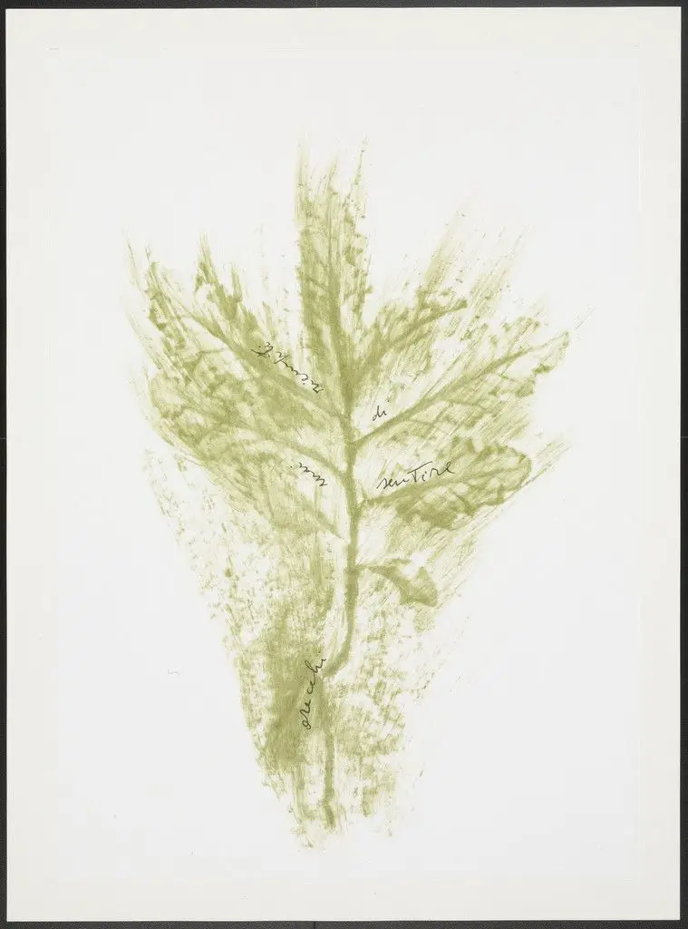 Untitled from Thirty-Three Herbs (Trentatre Erbe) by Giuseppe Penone