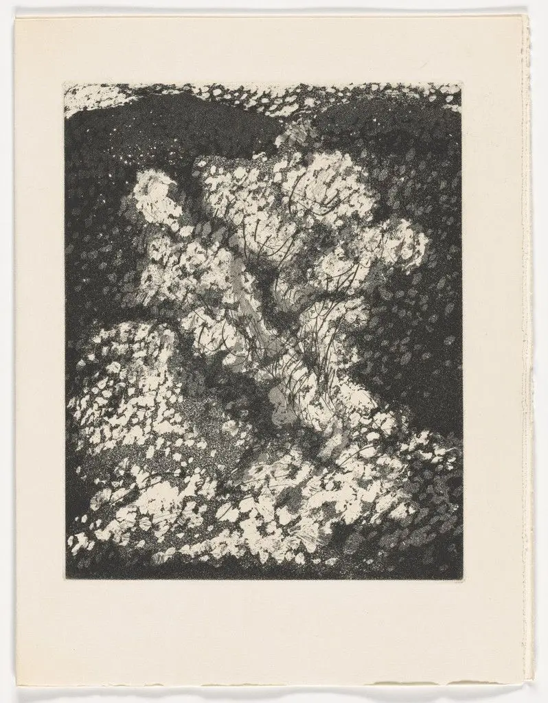 Untitled plate (page 25) from Sol de la Montagne by Dora Maar