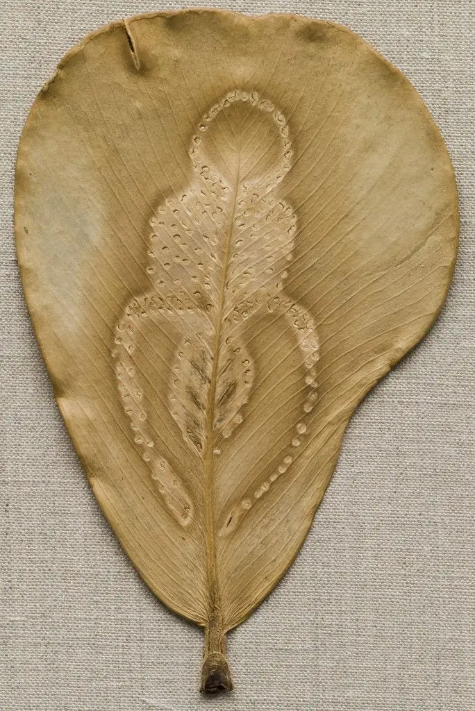 Untitled by Ana Mendieta