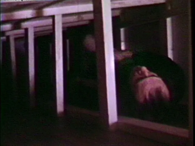 Seedbed by Vito Acconci