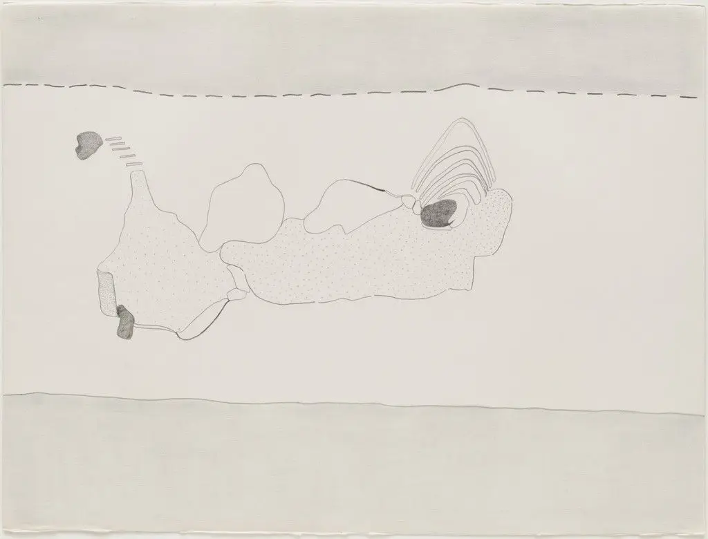 Newfoundland Drawing by Ree Morton