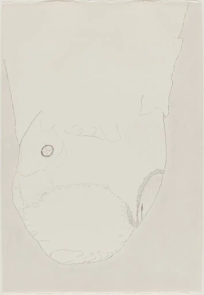 Newfoundland Drawing by Ree Morton