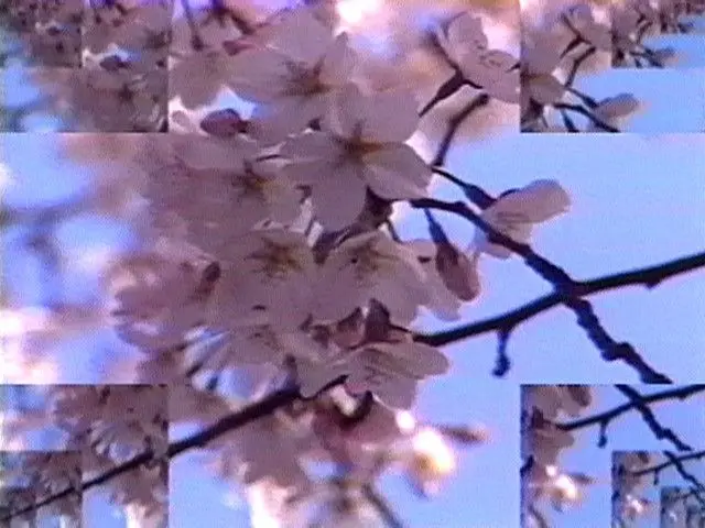 Rock Video: Cherry Blossom by Shigeko Kubota