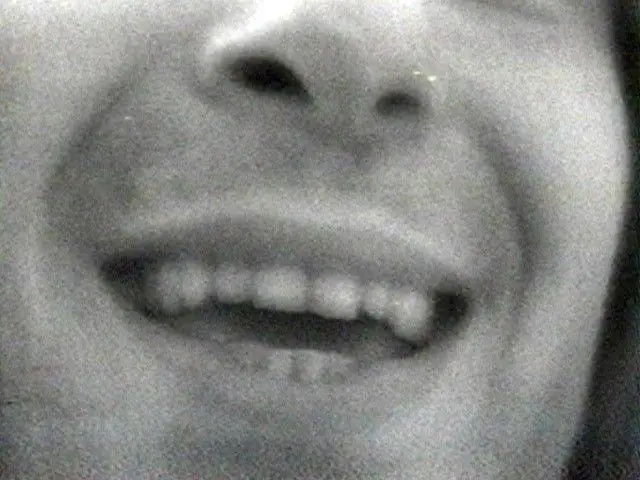 Selected Works: Reel 1 by William Wegman