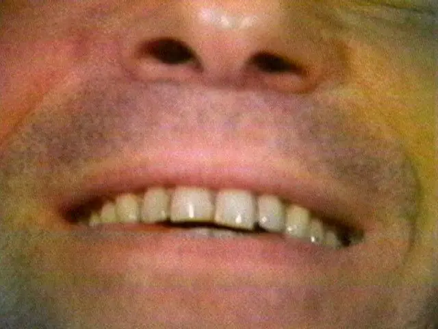 Selected Works: Reel 7 by William Wegman