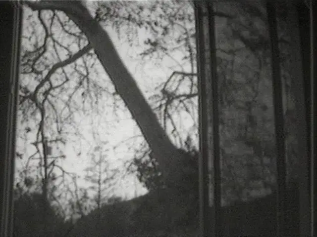 Discrepancy by Lynda Benglis