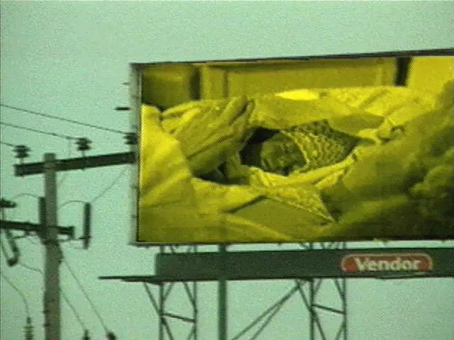 Natural Instincts by Ximena Cuevas