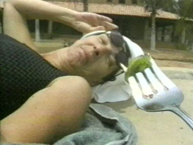 We're Here to Serve You (Estamos Para Servile) by Ximena Cuevas