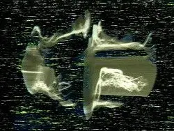 C-Trend by Woody Vasulka