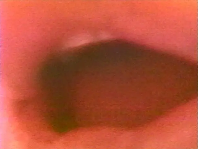 Baba de Perico by Ximena Cuevas