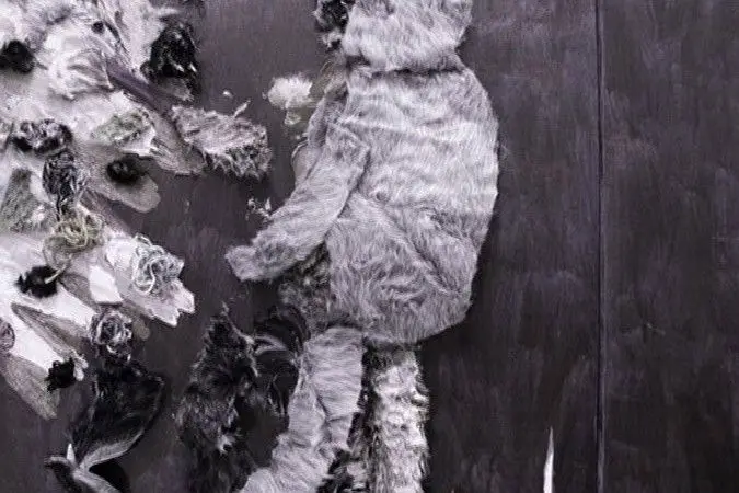 Cat Walking by Yui Kugimiya