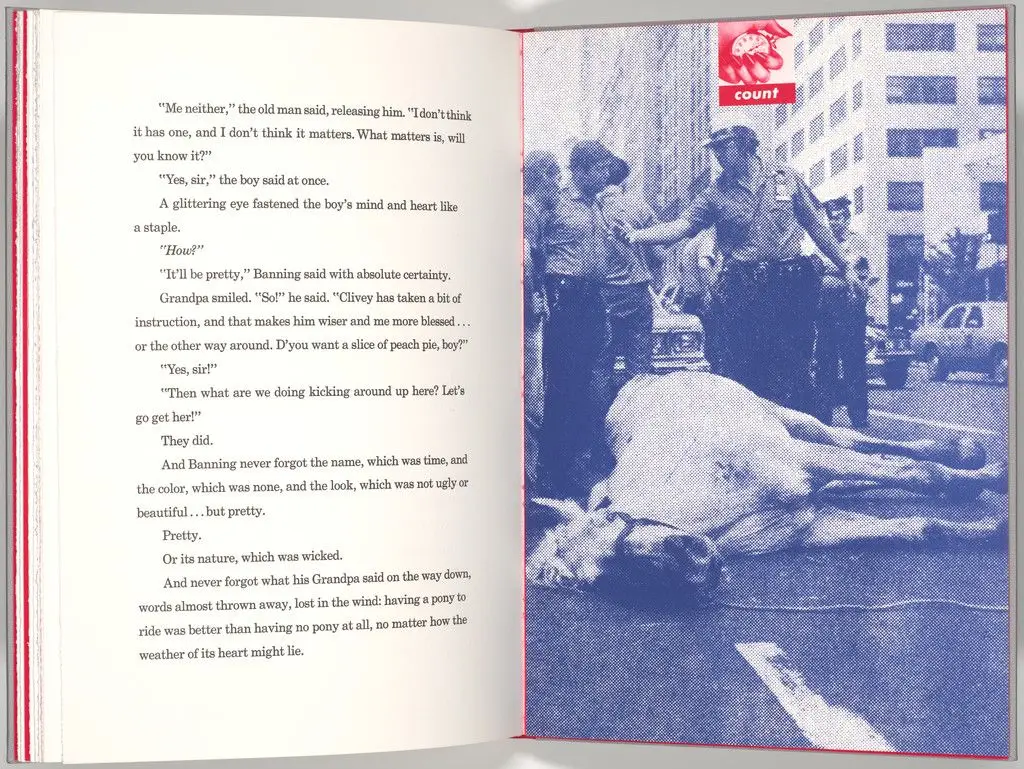 Plate (folio 29) from My Pretty Pony by Barbara Kruger