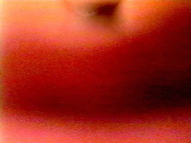 Monitor by Lynda Benglis