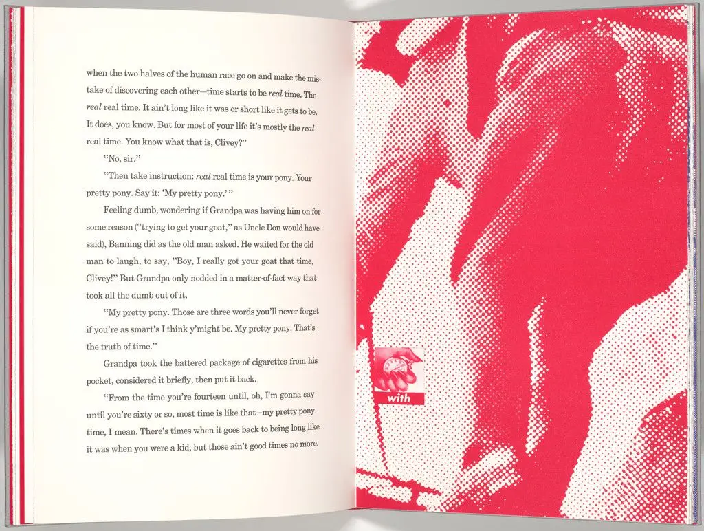 Plate (folio 17) from My Pretty Pony by Barbara Kruger