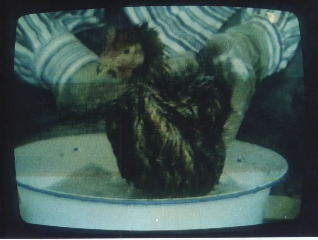 Document on Hygiene No. 3 by Zhang Peili