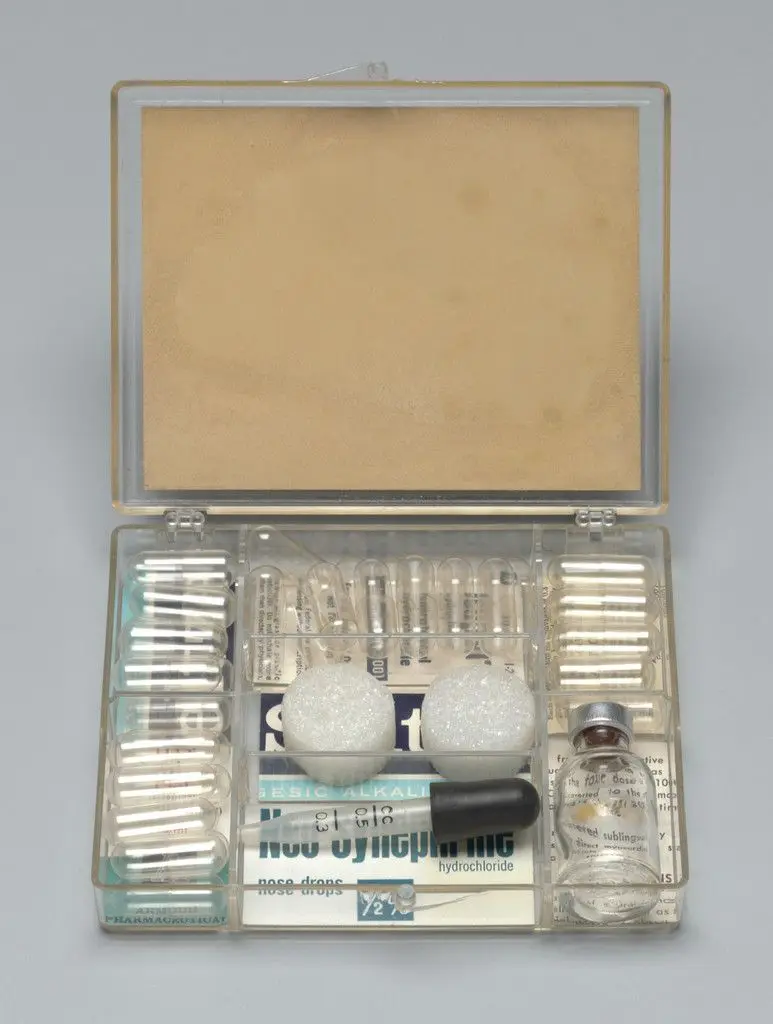 Flux Medicine by Shigeko Kubota