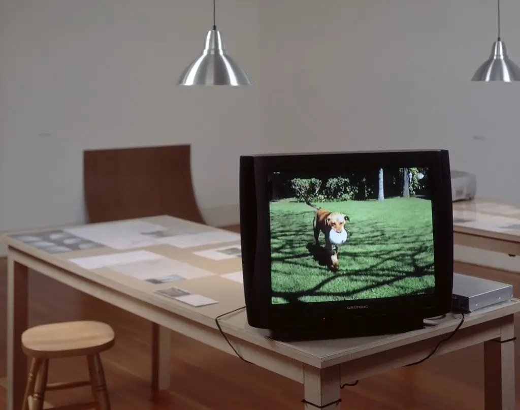 Perro y Pelota, Rehearsal I (Ensayo I) by Francis Alÿs