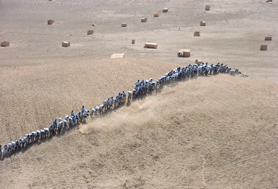 Bajada (Going down), When Faith Moves Mountains by Francis Alÿs