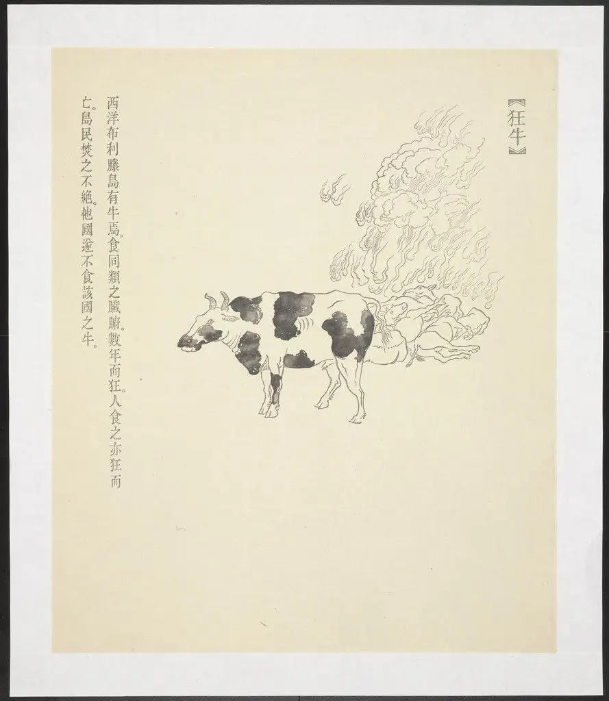 Kuang Niu from New Classic of Mountains and Seas by Qiu Anxiong