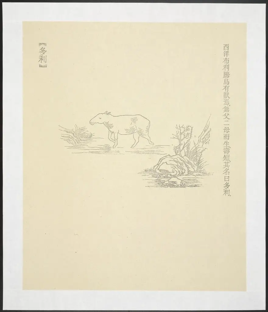 Duo Li from New Classic of Mountains and Seas by Qiu Anxiong