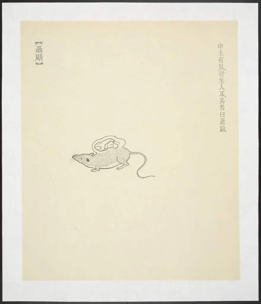 Nie Shu from New Classic of Mountains and Seas by Qiu Anxiong