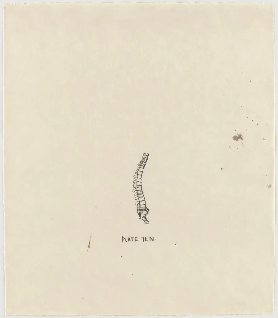 Untitled, From Leonardo by Jean-Michel Basquiat