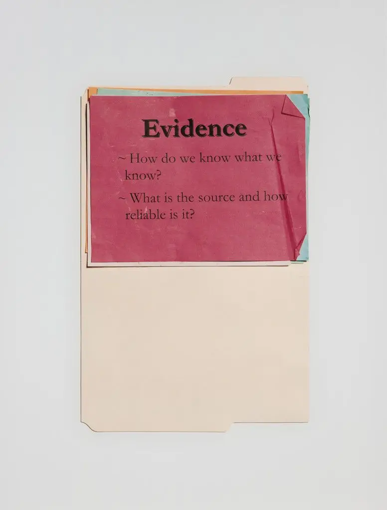 Evidence by Anne Collier