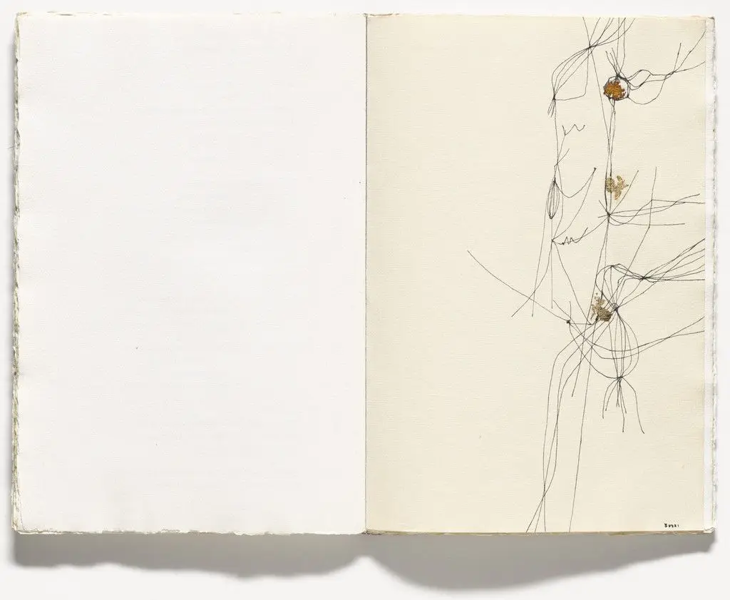 Plate from 17 variazioni su temi proposti per una pura ideologia fonetica by Alberto Burri