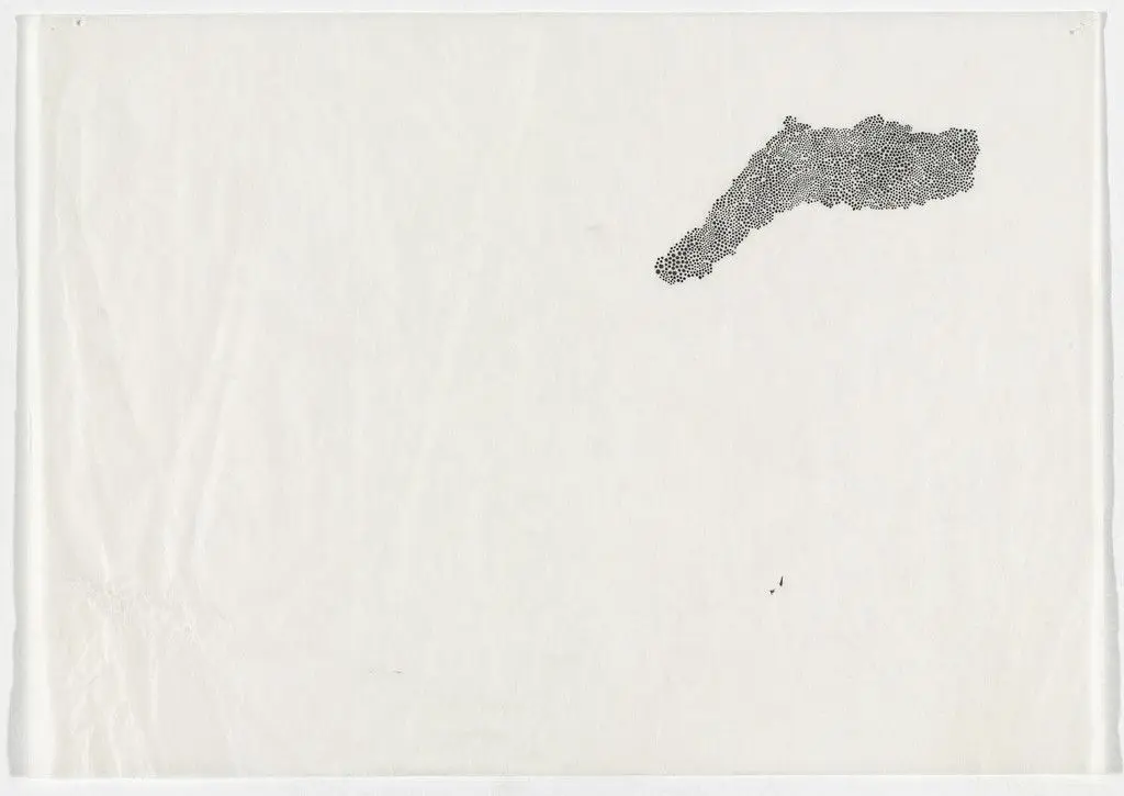 Untitled by Bernardo Ortiz Campo