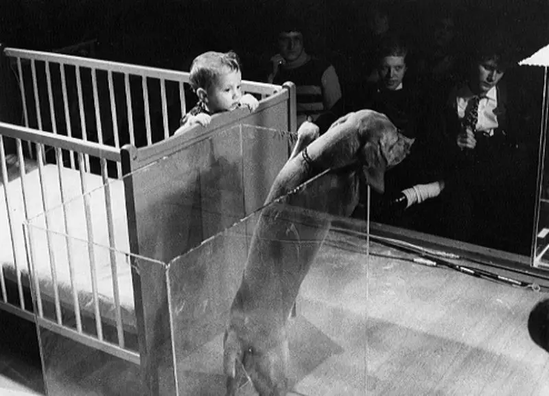 Restringierter Code (Restricted Code) by VALIE EXPORT