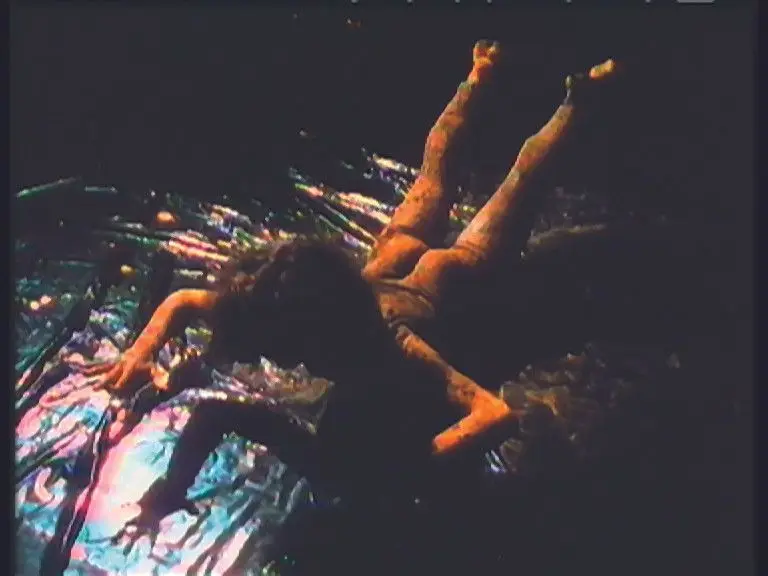 Die Zweiheit der Natur (The Duality of Nature) by VALIE EXPORT