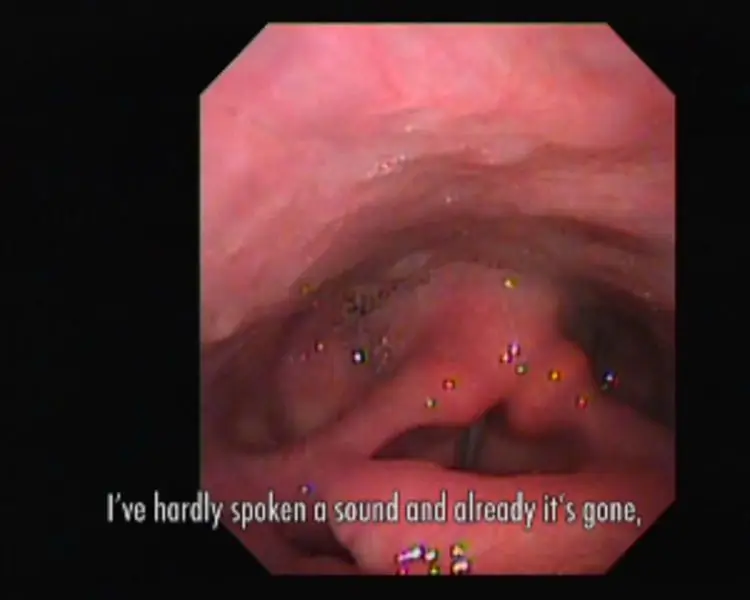 ...I turn over the pictures of my voice in my head by VALIE EXPORT