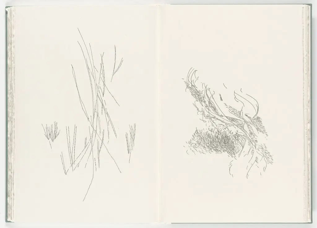 Untitled (plate, folio 21-22) from Poetry of Sappho by Julie Mehretu