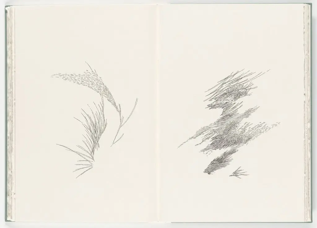 Untitled (plate, folio 25-26) from Poetry of Sappho by Julie Mehretu
