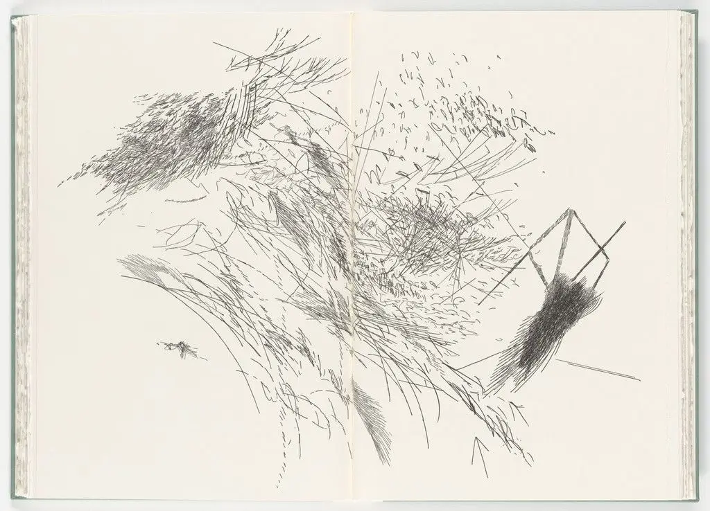 Untitled (plate, folio 27-28) from Poetry of Sappho by Julie Mehretu
