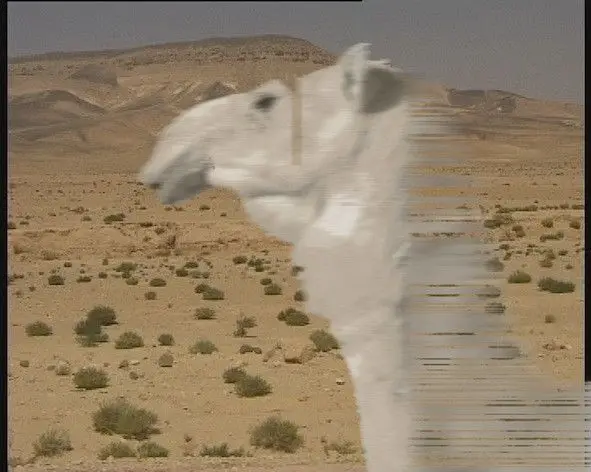 This Day (Al Yaoum) by Akram Zaatari