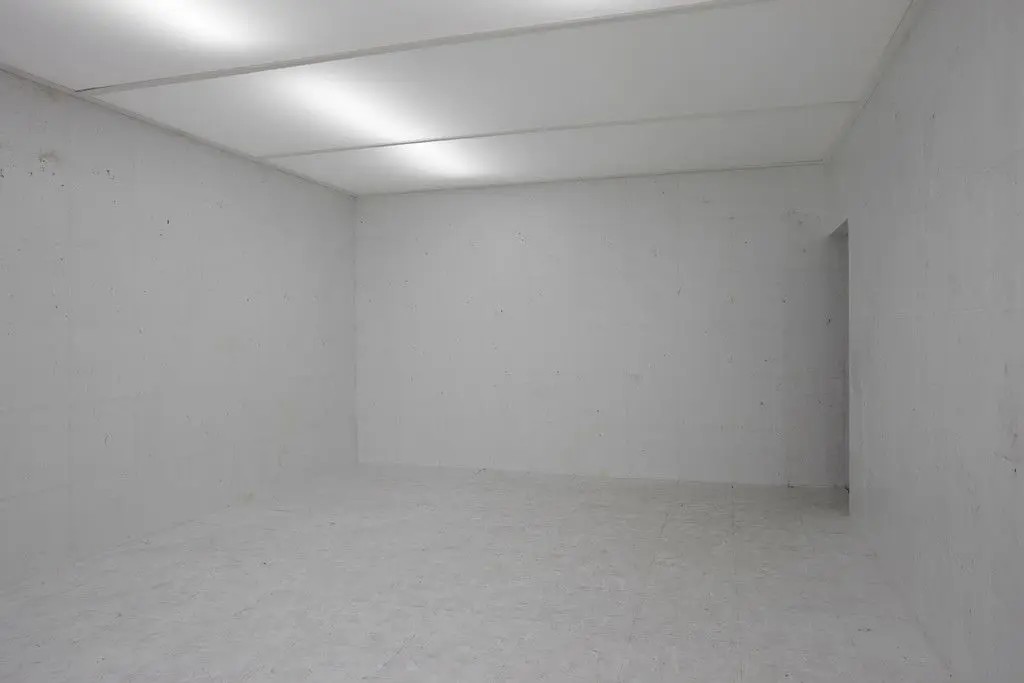 Work of Days by Rivane Neuenschwander