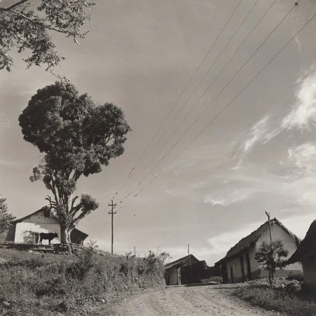 Untitled by Alfredo Boulton